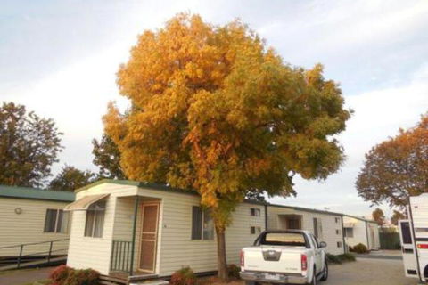 Wodonga Caravan & Cabin Park - Holiday Find 0