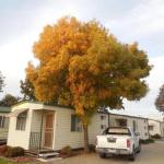 Wodonga Caravan & Cabin Park - Holiday Find 1