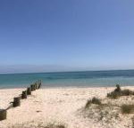 Sunset Over Sea Rosebud McCrae - Holiday Find