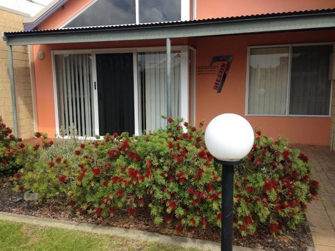 Dillon 7 - Holiday Find 5