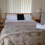 Dillon 7 - Holiday Find 0