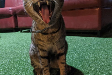 Jump Inn Alice Budget Accommodation - Holiday Find 1