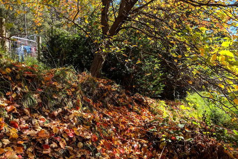 Mountain Blue Guest Accommodation - Holiday Find 1