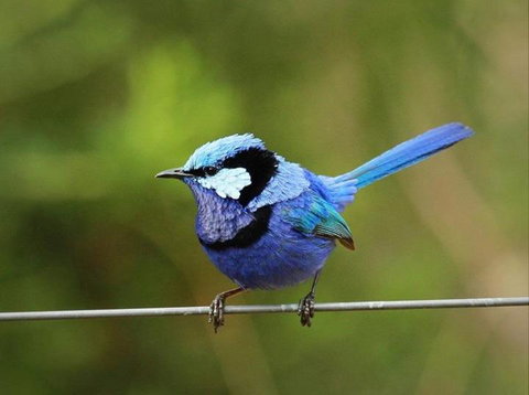 Dingup House - Holiday Find 6