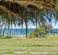 Pandanus on Emerald - Holiday Find
