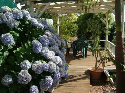 Nannup Riverview Cottage - Holiday Find 3
