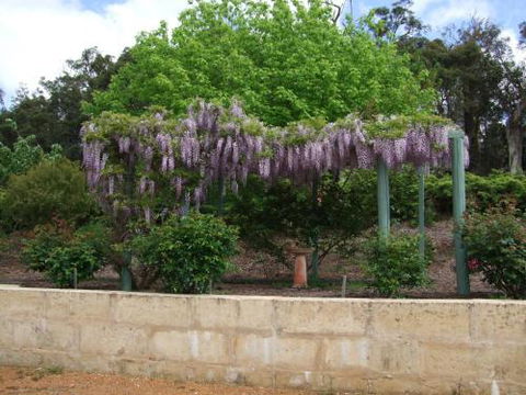 Nannup Riverview Cottage - Holiday Find 5