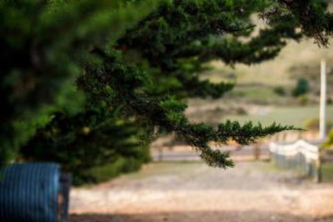 Wattle Grove Homestead Bed & Breakfast - Holiday Find 5