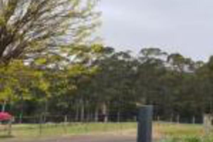 Devon Hills TAS Holiday Find