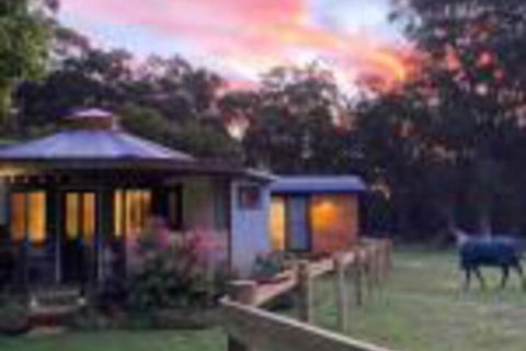 Ionaforest Yurt & Shepherds Hut - Holiday Find 0
