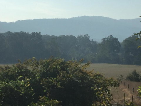 Oaktree Guest House - Holiday Find 6