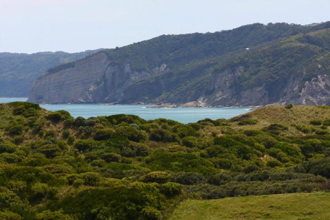 Glen View Cottage - Holiday Find 5