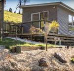 Sunny Gum - Holiday Find