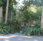 Avoca Park - Holiday Find