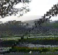 Jasmine's Cottage - Holiday Find