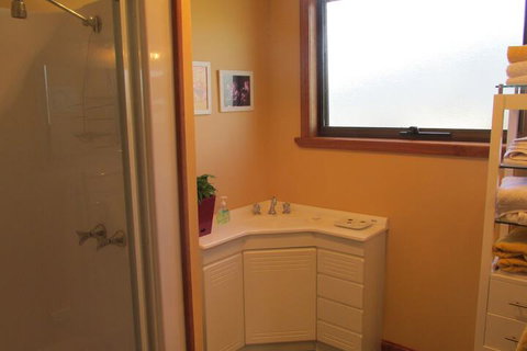 High On Penguin - Holiday Find 4