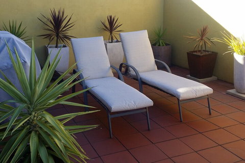 High On Penguin - Holiday Find 6