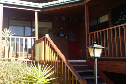 High On Penguin - Holiday Find 2