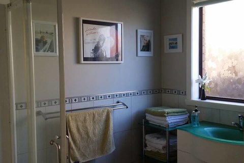 High On Penguin - Holiday Find 5