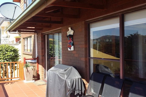 High On Penguin - Holiday Find 7