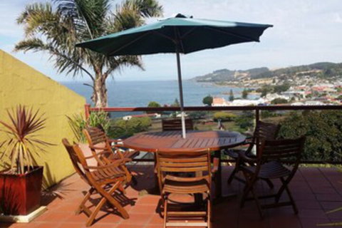 High On Penguin - Holiday Find 0