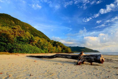 Daintree Rainforest Beach House - Holiday Find 7