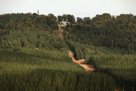 Nannup Hideaway - Holiday Find 4