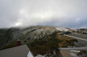 Lawlers 40 - Holiday Find 1