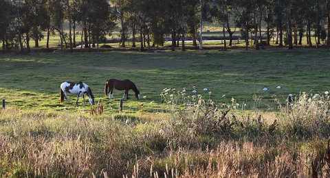 Labertouche Gypsy Creek Winery - Holiday Find 3