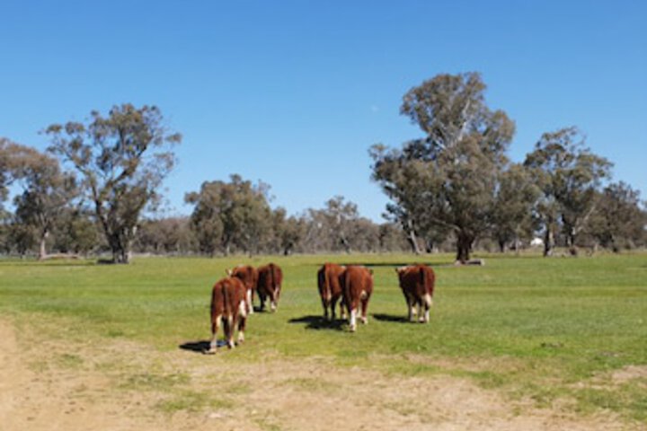 Jindera NSW Holiday Find
