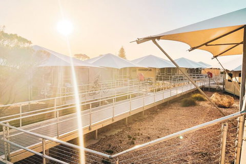 Discovery Rottnest Island - Holiday Find 5