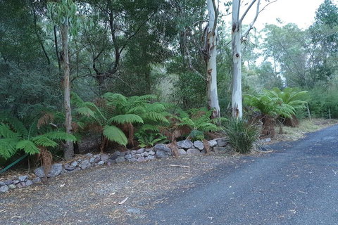 Roland B&B - Holiday Find 4