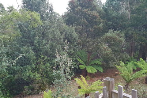 Roland B&B - Holiday Find 1