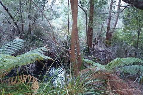 Roland B&B - Holiday Find 5