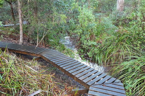 Roland B&B - Holiday Find 6