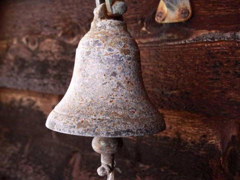 Elandra - Holiday Find 4