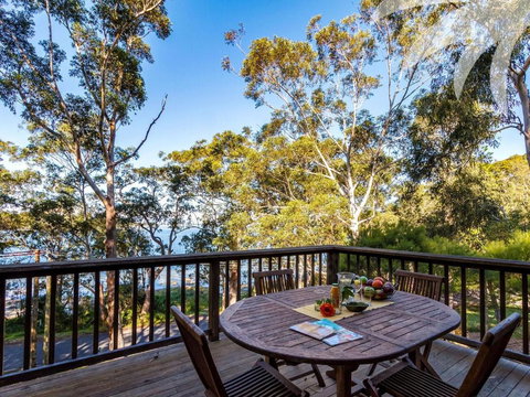 Elandra - Holiday Find 2