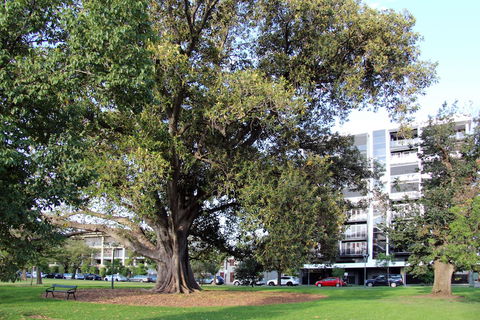 Adelaide Central Apartment - 3BR, 2Bath & Carpark - Holiday Find 1