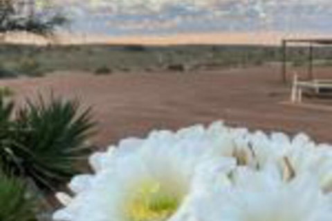 White Cliffs Underground Motel - Holiday Find 0