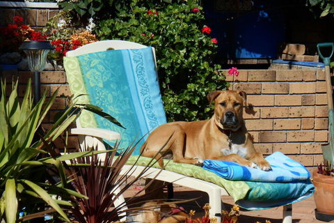 Pindari House - Holiday Find 1