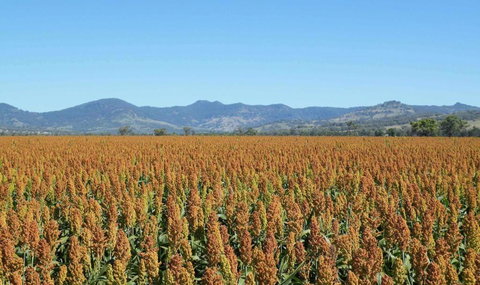 The Old Saddlery - Holiday Find 3