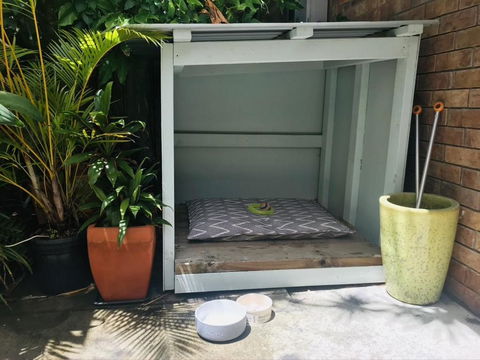 Jimmys Shout Pet Friendly - Holiday Find 3