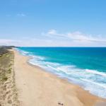 Jimmys Shout Pet Friendly - Holiday Find 0