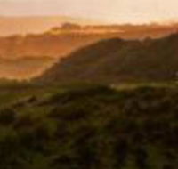 Mures Cloudy Bay Retreat - Holiday Find