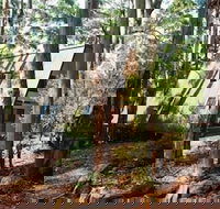 Green Leaves Cabin - Holiday Find