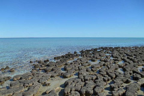 Hamelin Pool Caravan Park - Holiday Find 4