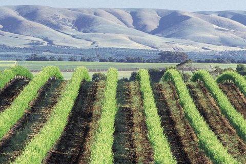 Willunga House - Holiday Find 4