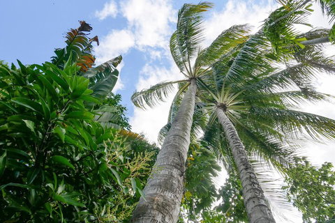 Calypso Inn Backpackers Resort Hostel - Holiday Find 1