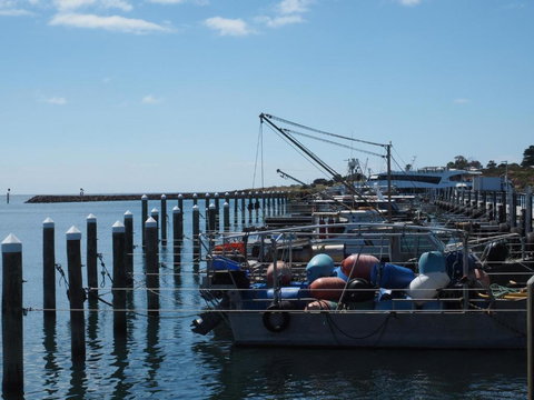 Port Relaxation - Holiday Find 5