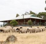 Gilgraves Vineyard Farmstay - Holiday Find